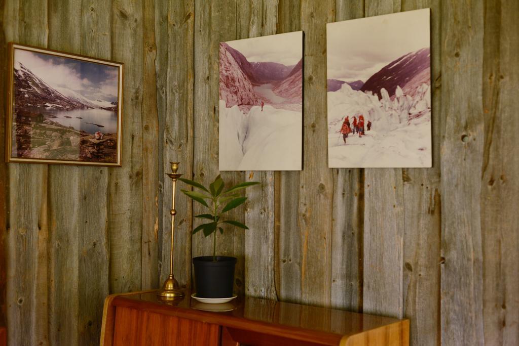 Nigardsbreen Lodge Luster Exteriér fotografie